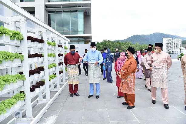 DYMM Paduka Seri Sultan Perak Berkenan Melawat Konsep Pertanian Moden Secara Skala Sederhana : 30 Julai 2022