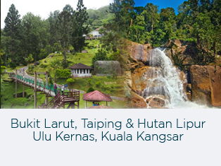 Bukit Larut
