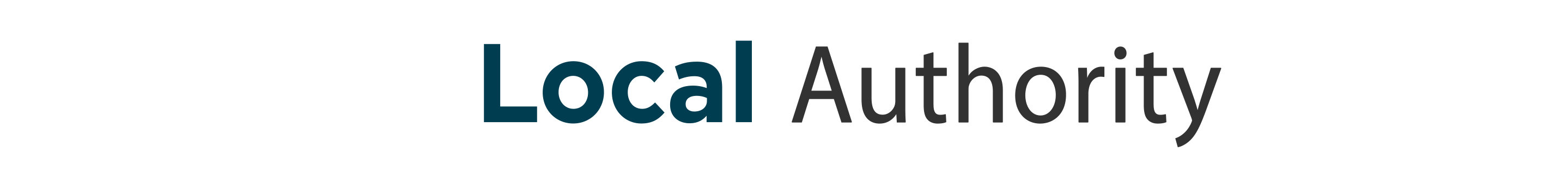 Local Authorities 